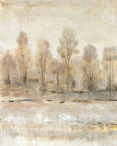 Peaceful Forest I Poster Print - Tim OToole