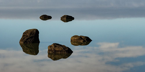 Water and Land VIII Poster Print - PHBurchett