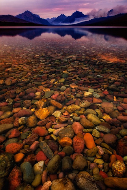 Water and Land I Poster Print - PHBurchett