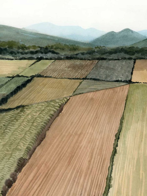 This Land II Poster Print - Grace Popp