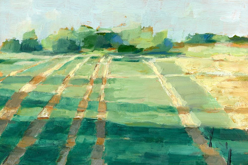 Mid Summer Shadows I Poster Print - Ethan Harper