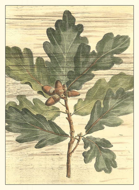 Weathered Oak Leaves I Poster Print - Gerard Paul DeShayes