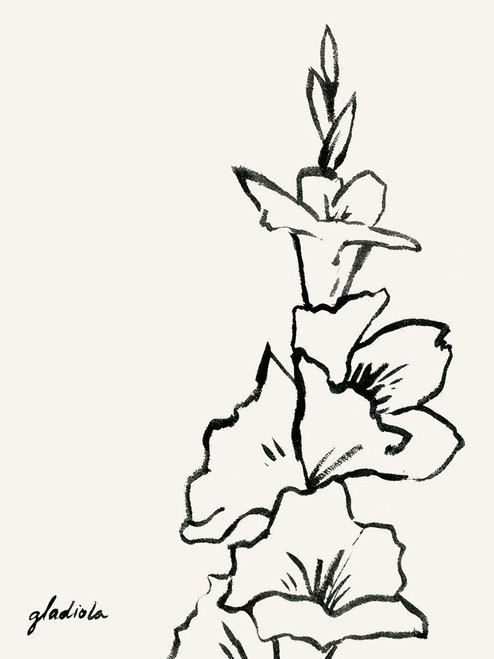 Gladiola Sketch IV Poster Print - Grace Popp