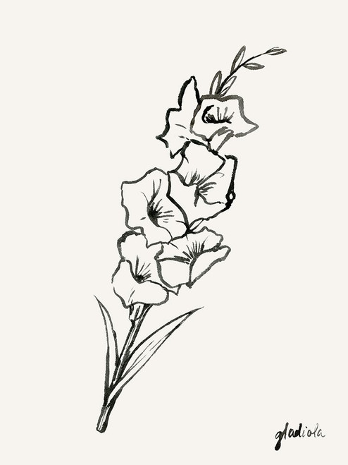 Gladiola Sketch II Poster Print - Grace Popp