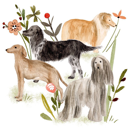 A Little Walk II Poster Print - Melissa Wang