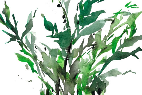 Just the Leaves II Poster Print - Samuel Dixon