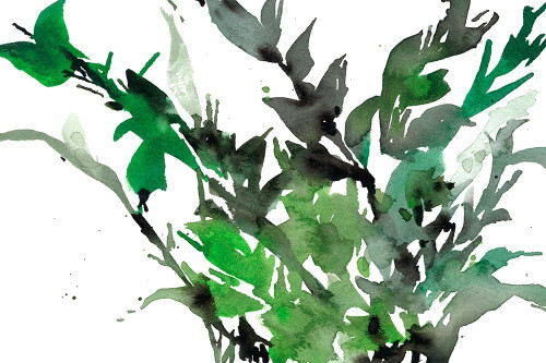 Just the Leaves I Poster Print - Samuel Dixon