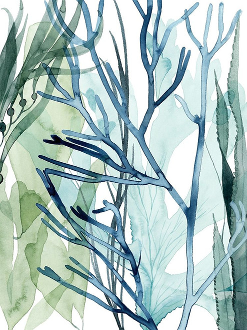 Sea Leaves II Poster Print - Grace Popp