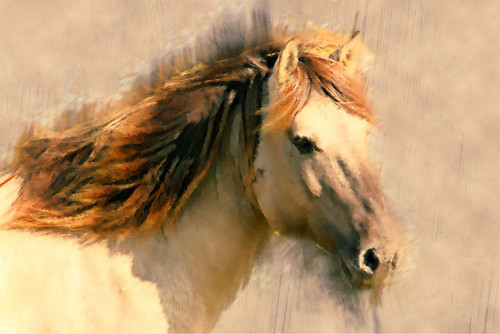 Blended Horse I Poster Print - Kim Curinga