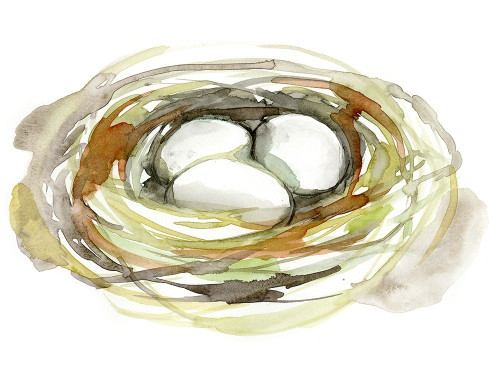 Watercolor Nest I Poster Print - Jennifer Goldberger