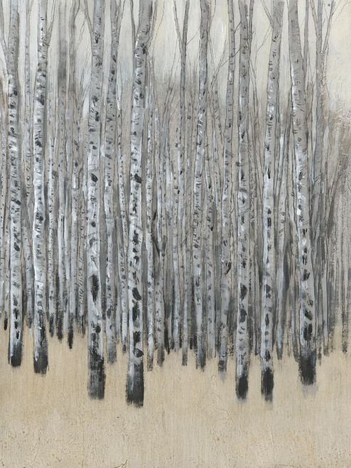 Neutral Aspen I Poster Print - Tim OToole