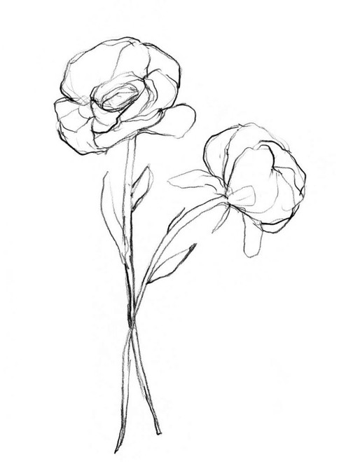 Stem Contour I Poster Print - Jennifer Goldberger