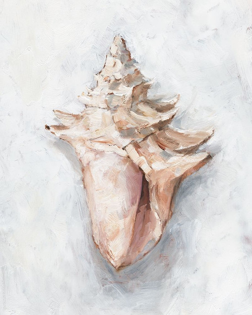 White Shell Study I Poster Print - Ethan Harper