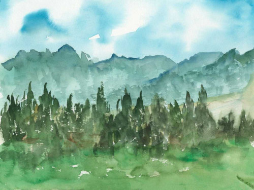 Stand of Evergreens II Poster Print - Ethan Harper