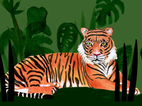 Tiger Tiger I Poster Print - Alicia Ludwig