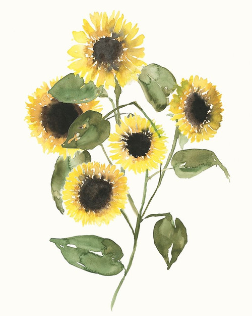 Sunflower Composition II Poster Print - Jennifer Goldberger