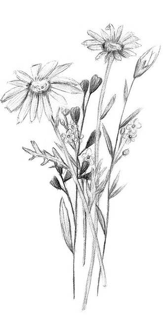 Hiding II Poster Print - Melissa Wang