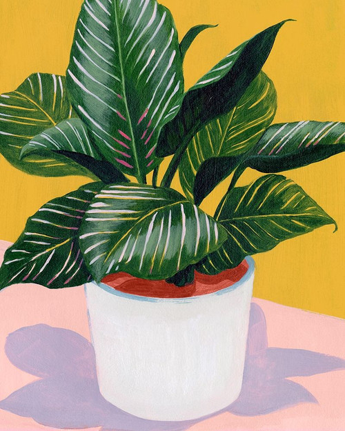 Calethea II Poster Print - Grace Popp
