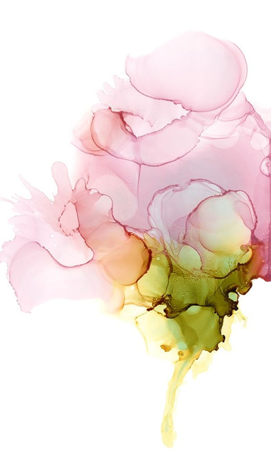 Blooming Pink II Poster Print - Jennifer Goldberger