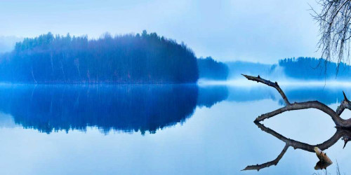 Reflections Poster Print - James McLoughlin