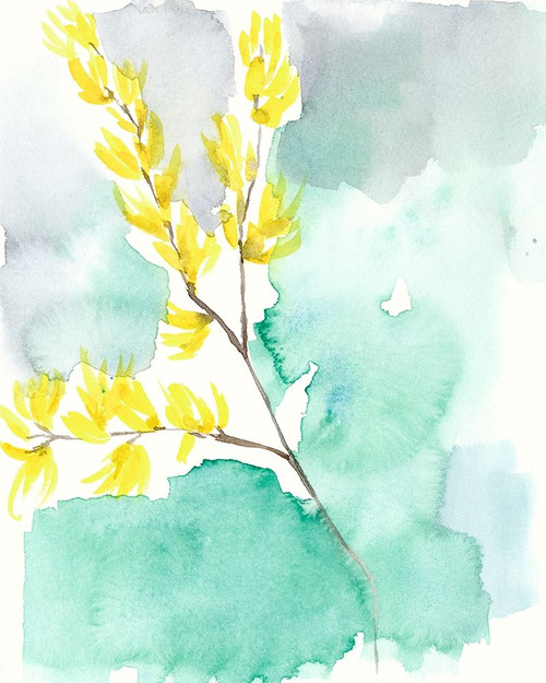 Forsythia Dreams I Poster Print - Jennifer Goldberger