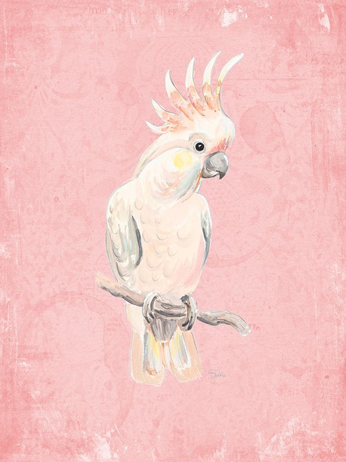 Pink Cockatoo Poster Print - Patricia Pinto Pink Cockatoo Poster Print - Patricia Pinto