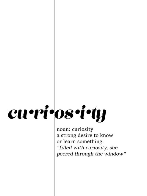 Find Meaning II Poster Print - Jarman Fagalde