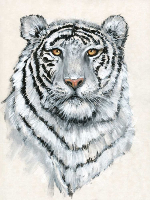 White Tiger II Poster Print - Tim OToole