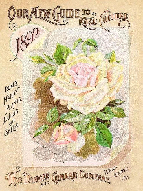 Antique Seed Packets IX Poster Print - Unknown