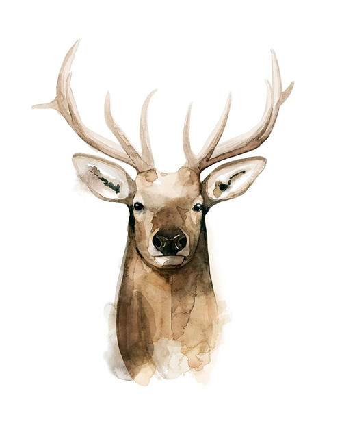 Watercolor Elk Portrait I Poster Print - Grace Popp