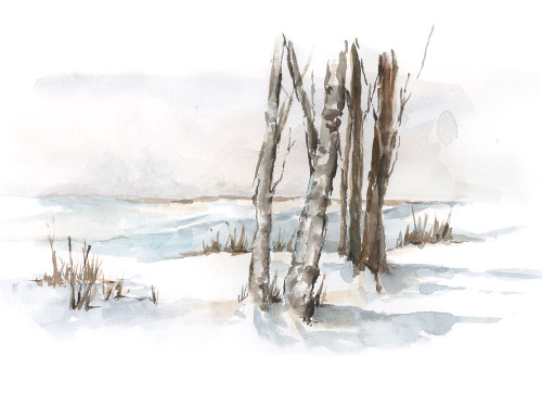 First Snowfall I Poster Print - Ethan Harper