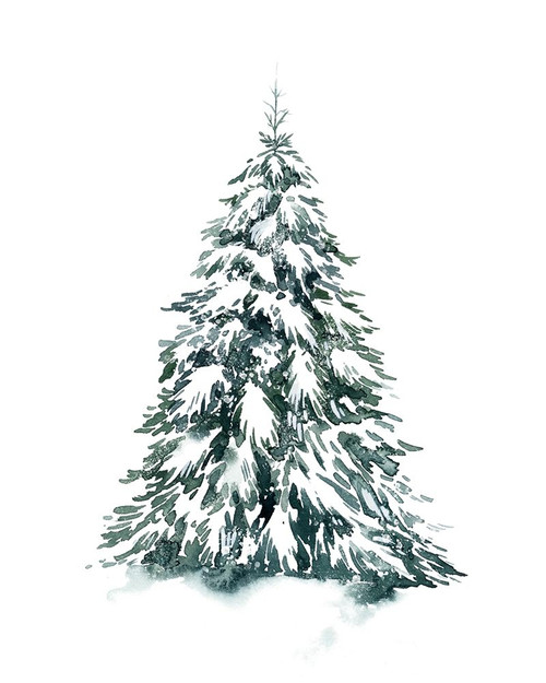 Blue Spruce II Poster Print - Grace Popp