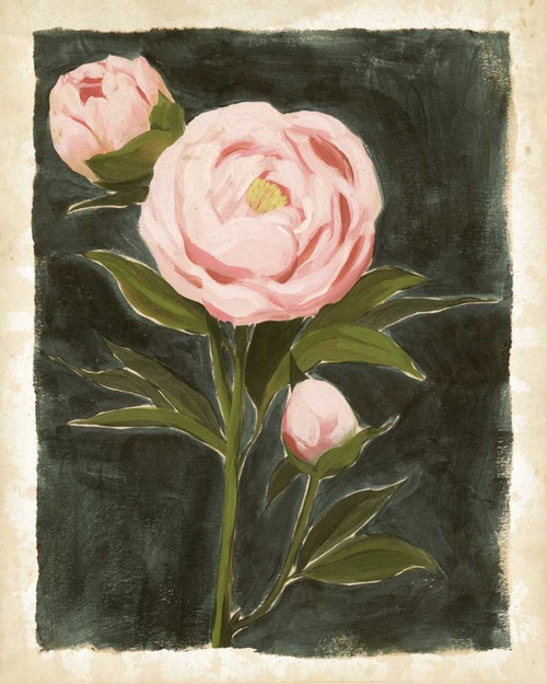 Vintage Peonies I Poster Print - Grace Popp