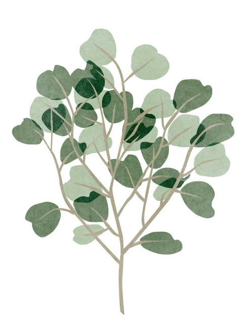 Windy Eucalyptus II Poster Print - Melissa Wang