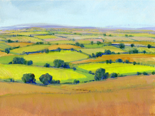 Patchwork Vista II Poster Print - Tim OToole