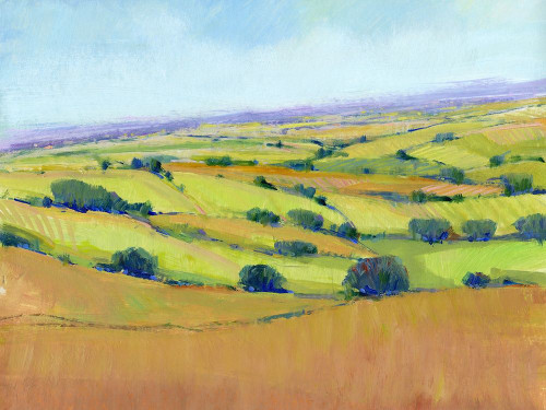 Patchwork Vista I Poster Print - Tim OToole