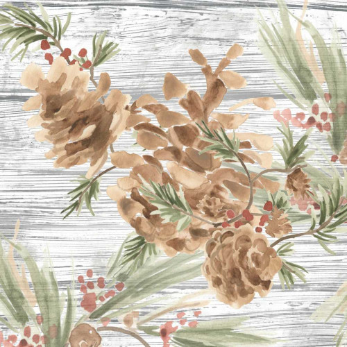 Pinecone Lodge III Poster Print - June Erica Vess