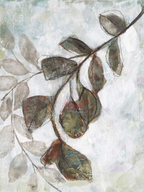 Dream Branches I Poster Print - Jennifer Goldberger