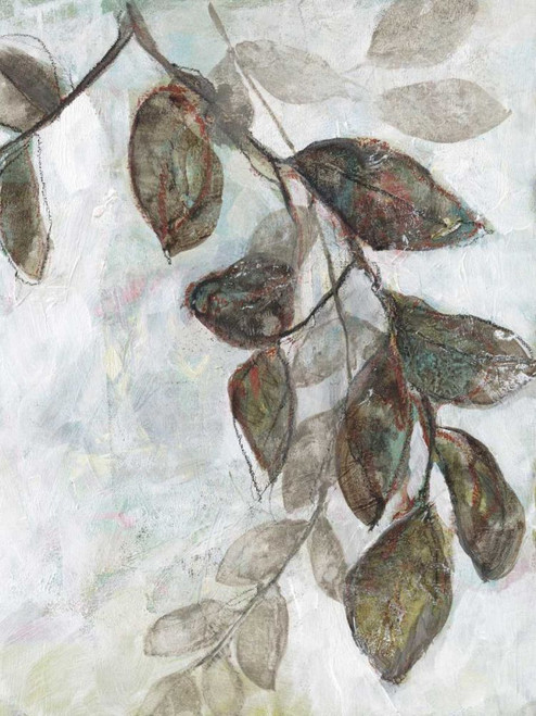 Dream Branches II Poster Print - Jennifer Goldberger