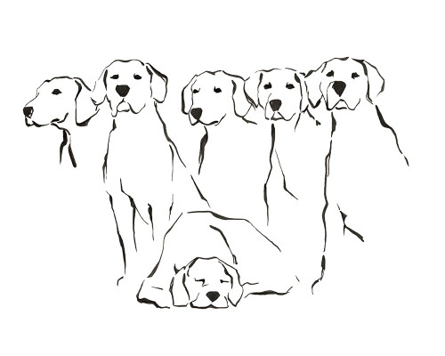 Dog Squad Goals II Poster Print - Ethan Harper