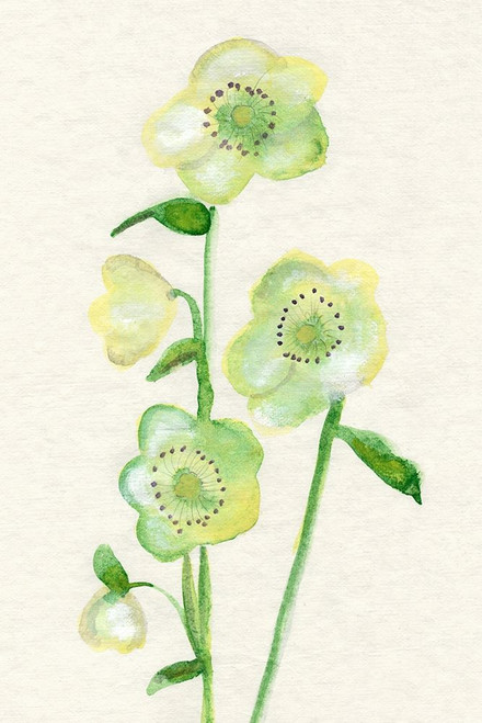 Petite Fleur VI Poster Print - Alicia Ludwig