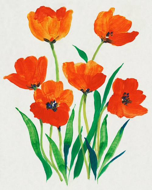 Red Tulips in Bloom I Poster Print - Tim OToole