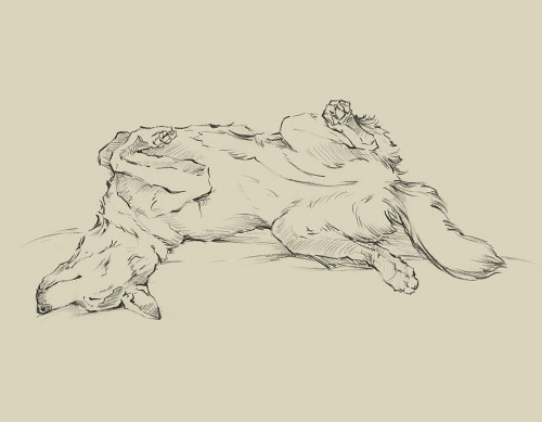Dog Tired IV Poster Print - Ethan Harper
