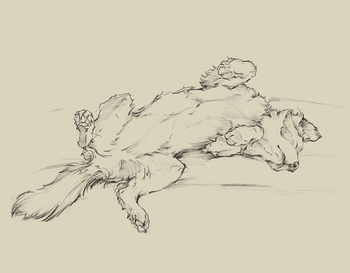 Dog Tired III Poster Print - Ethan Harper