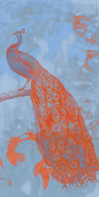 Pop Peacock II Poster Print - Jennifer Goldberger Pop Peacock II Poster Print - Jennifer Goldberger