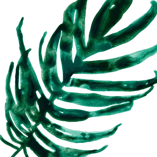 Tropical Jewel VI Poster Print - June Erica Vess