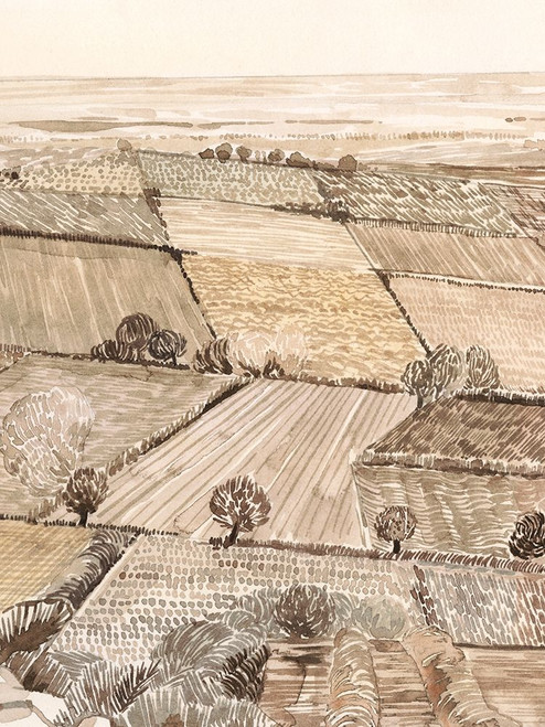 Arable Land II Poster Print - Grace Popp