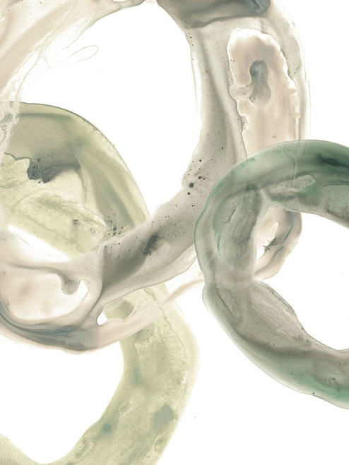 Concentric Lichen III Poster Print - June Erica Vess