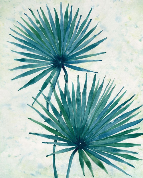 Palm Leaves I Poster Print - Tim OToole