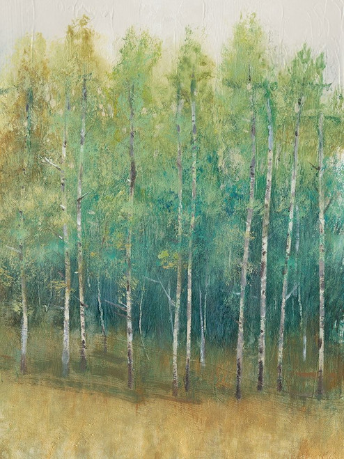 Woodland Edge II Poster Print - Tim OToole
